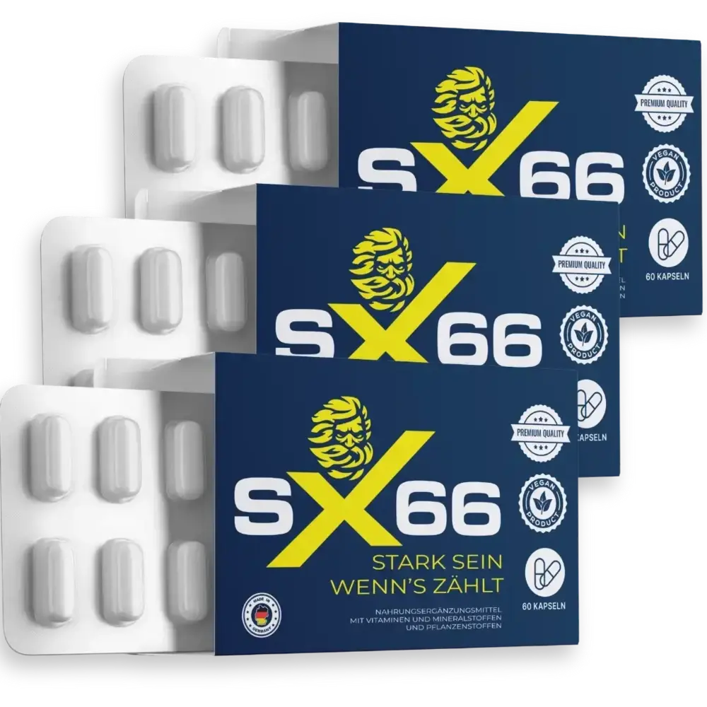 SX66